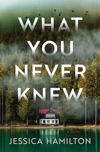 Jessica Hamilton - What You Never Knew : A Novel - Paperback image 1