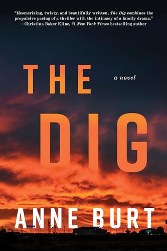Anne Burt - Dig : A Novel - Hardback image 1