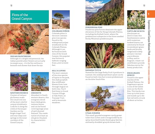 Fodorâ€™s Trave - Fodor's InFocus Grand Canyon - Paperback image 5