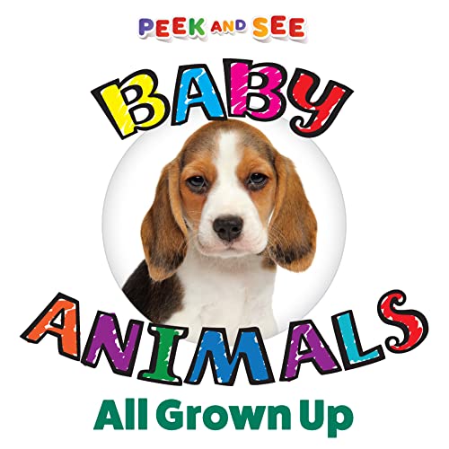 Editors of Happy Fox - Peek and See Baby Animals All Grown Up - Hardba image 1