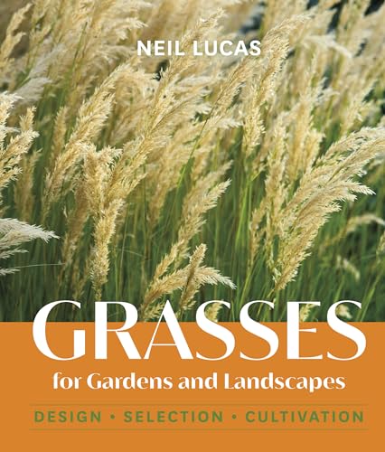 Neil Lucas - Grasses for Gardens and Landscapes - Hardback image 1