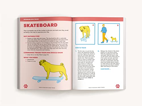 Desiree van Zon - Teach Your Dog Crazy Tricks : 50 Howl-arious Stunts image 3