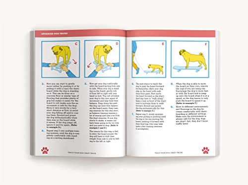 Desiree van Zon - Teach Your Dog Crazy Tricks : 50 Howl-arious Stunts image 4