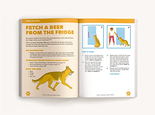 Desiree van Zon - Teach Your Dog Crazy Tricks : 50 Howl-arious Stunts image 5