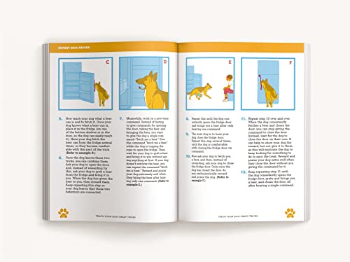 Desiree van Zon - Teach Your Dog Crazy Tricks : 50 Howl-arious Stunts image 6