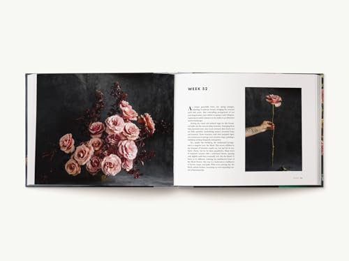 Alex Vaughan - Everyday Bouquet : 52 Beautiful Arrangements for Every image 9