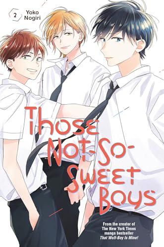 Yoko Nogiri - Those Not-So-Sweet Boys 2 : 2 - Paperback image 1
