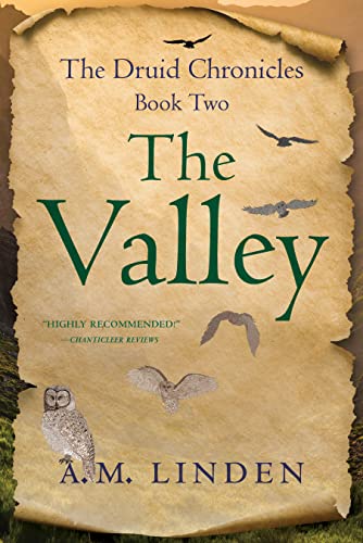 A.M. Linden - Valley : The Druid Chronicles, Book Two - Paperback image 1