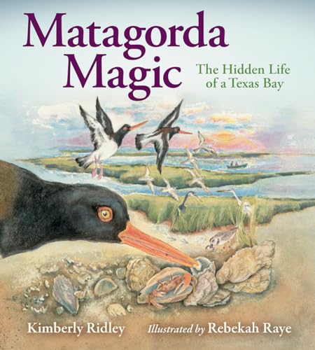 Rebekah Raye - Matagorda Magic : The Hidden Life of a Texas Bay - Hard image 1
