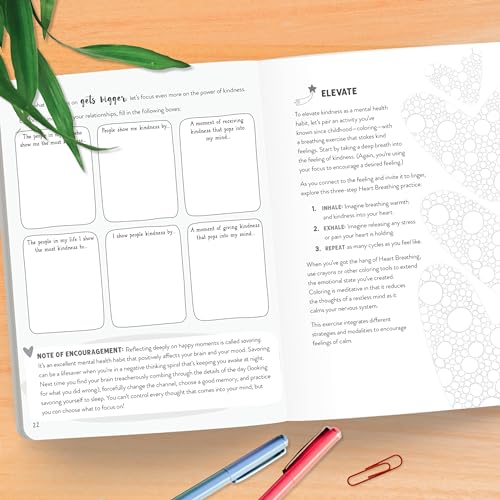 Lucie Hemmen - Teen Girl’s Survival Journal : Your Space to Learn, R image 4