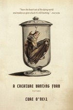 Luke O'Neil - Something in the Water : Fictions - Paperback image 1