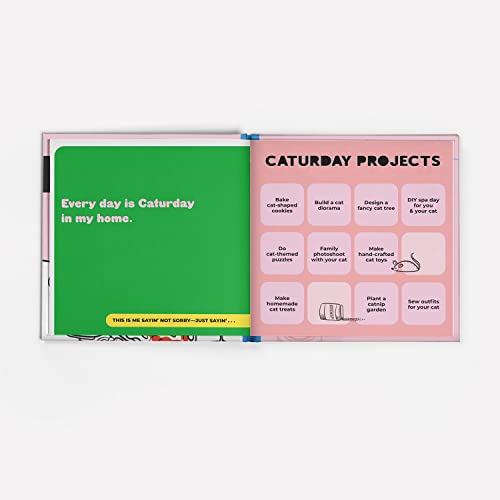 Knock Knock - I'm a Cat Lady Sorry Not Sorry Book - Hardback image 3