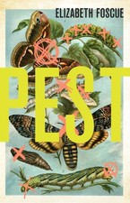 Elizabeth Foscue - Pest - Paperback image 1