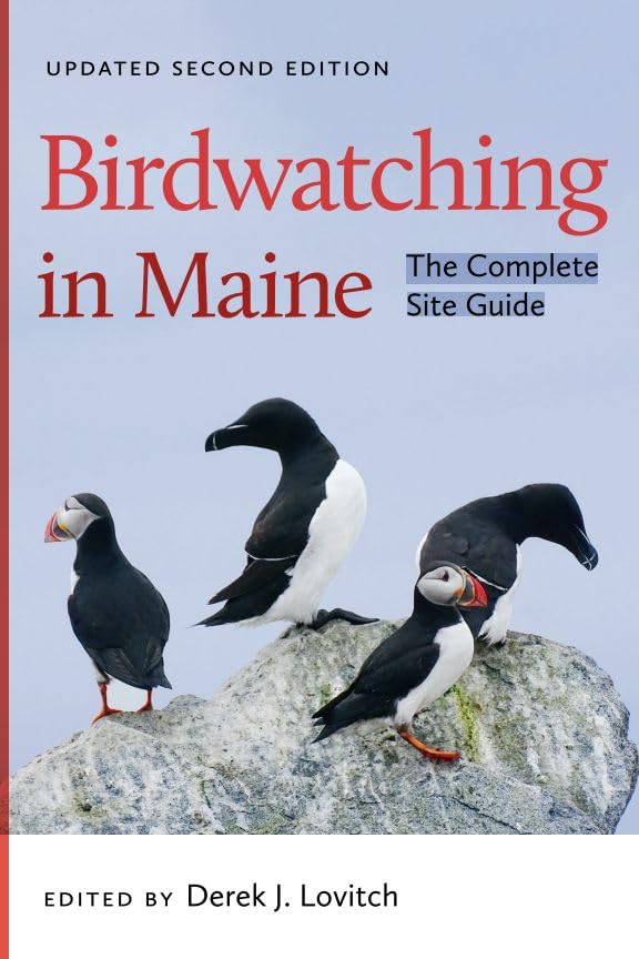 Derek J. Lovitch - Birdwatching in Maine : The Complete Site Guide - P image 1