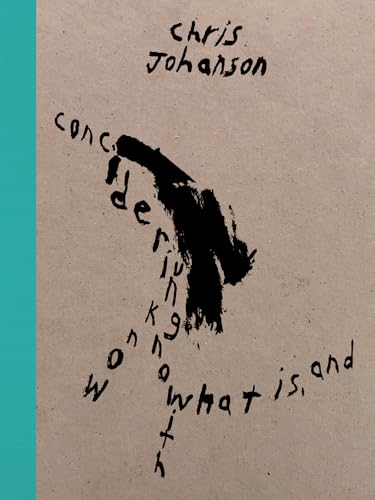 Jenny Gheith - Chris Johanson: Considering Unknow Know with What Is, a image 1