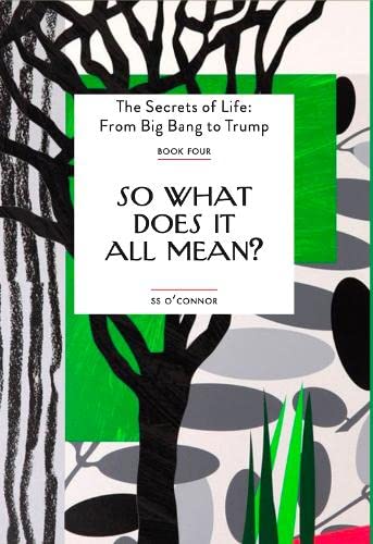 S.S. O'Connor - So What Does It All Mean? : Four - Paperback image 1