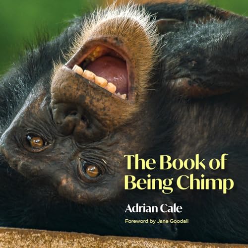 Jane Goodall - Book of Being Chimp - Hardback image 1