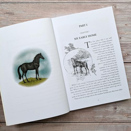 Anna Sewell - Black Beauty - Paperback image 3