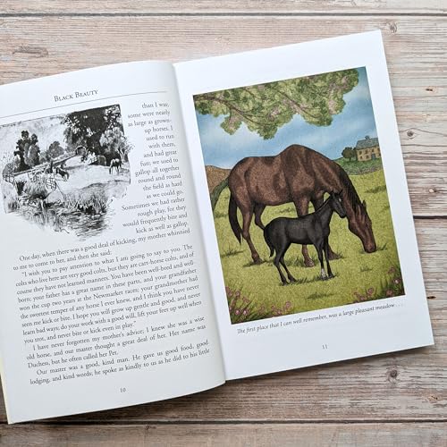 Anna Sewell - Black Beauty - Paperback image 4