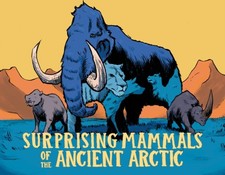 Dana Hopkins - Surprising Mammals of the Ancient Arctic : English Edit image 1