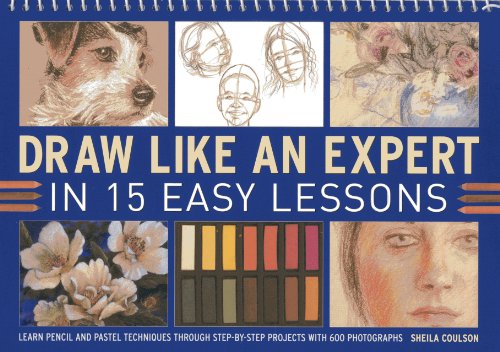 Sheila Coulson - Draw Like an Expert in 15 Easy Lessons : Learn Pencil image 1