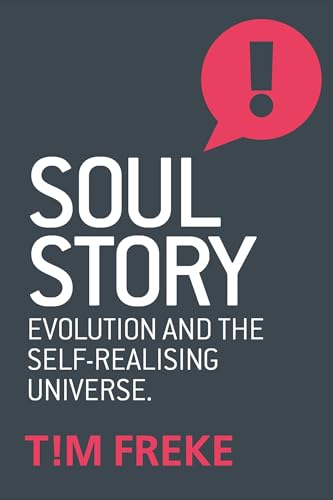 Tim Freke - Soul Story - Paperback image 1