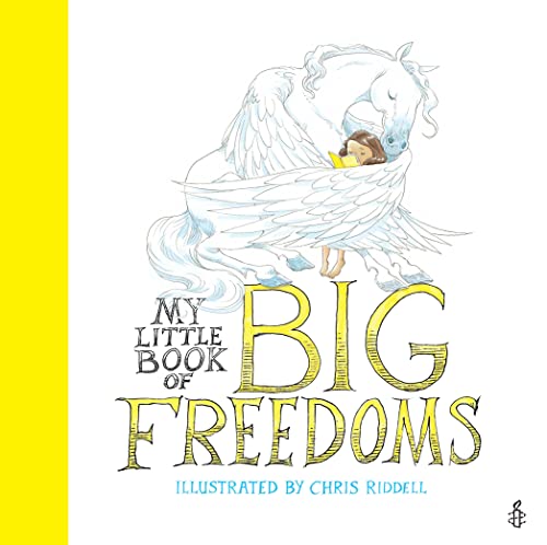 Amnesty Internationa - My Little Book of Big Freedoms : The Human Righ image 1