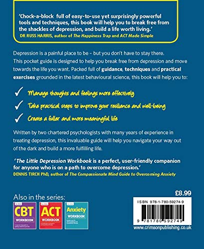 Dr Michael Eisen - Little Depression Workbook : Build the life you wan image 2