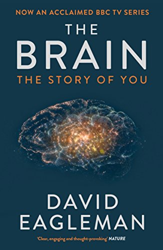 David Eagleman - Brain : The Story of You - Paperback image 1