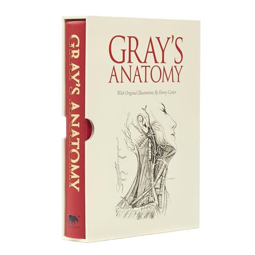 Henry Gray - Grays Anatomy - Hardback image 1