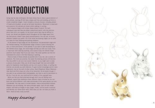 Susie Hodge - How to Draw: Woodland Animals : In Simple Steps - Paperb image 3