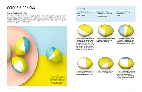 Katya Trischuk - Egg Art : 50 Designs to Paint, Dye and Draw - Paperba image 2