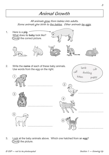 CGP Books - KS1 Science Year Two Workout: Growing & Staying Healthy - image 2