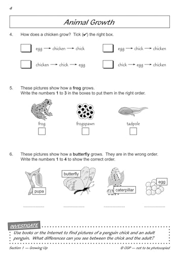 CGP Books - KS1 Science Year Two Workout: Growing & Staying Healthy - image 3