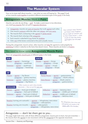 CGP Books - GCSE Physical Education Complete Revision & Practice - for image 8