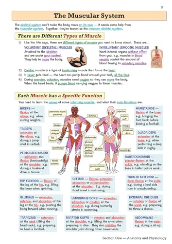 CGP Books - GCSE Physical Education Revision Guide - for the Grade 9-1 image 6