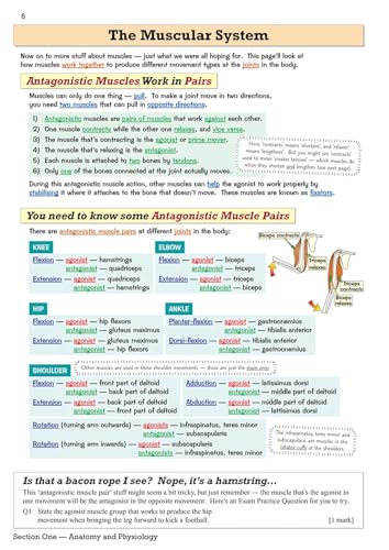 CGP Books - GCSE Physical Education Revision Guide - for the Grade 9-1 image 7