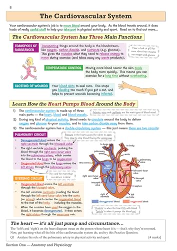 CGP Books - GCSE Physical Education Revision Guide - for the Grade 9-1 image 9