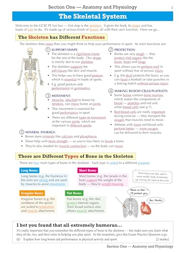 CGP Books - GCSE Physical Education Edexcel Revision Guide - for the G image 2
