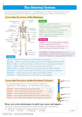 CGP Books - GCSE Physical Education Edexcel Revision Guide - for the G image 3