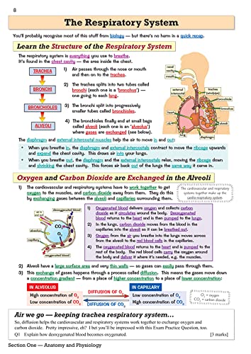 CGP Books - GCSE Physical Education Edexcel Revision Guide - for the G image 9