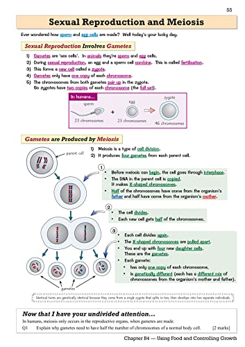 CGP Books - Grade 9-1 GCSE Combined Science: OCR 21st Century Revision image 7