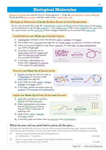 CGP Books - Grade 9-1 GCSE Biology: OCR Gateway Revision Guide with On image 5