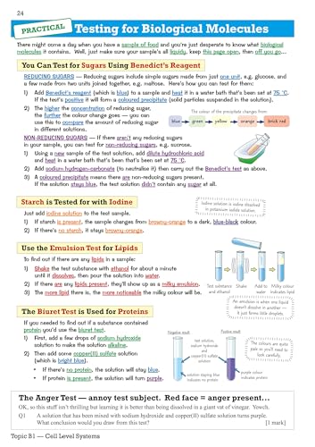 CGP Books - Grade 9-1 GCSE Biology: OCR Gateway Revision Guide with On image 6