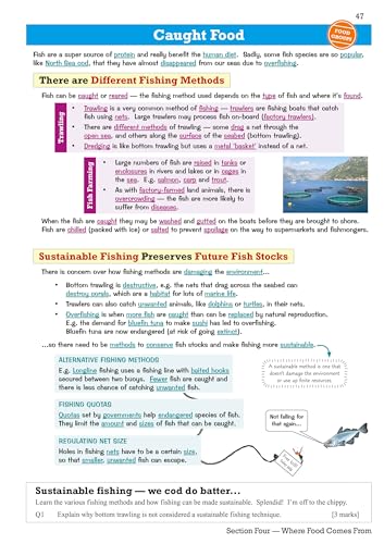 CGP Books - Grade 9-1 GCSE Food Preparation & Nutrition - WJEC Eduqas image 5