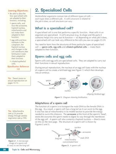 CGP Books - Grade 9-1 GCSE Combined Science for Edexcel Biology Studen image 2