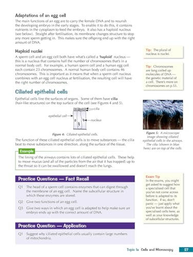 CGP Books - Grade 9-1 GCSE Combined Science for Edexcel Biology Studen image 3