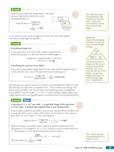 CGP Books - Grade 9-1 GCSE Combined Science for Edexcel Biology Studen image 7