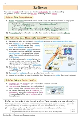 CGP Books - National 5 Biology: SQA Revision Guide with Online Edition image 4
