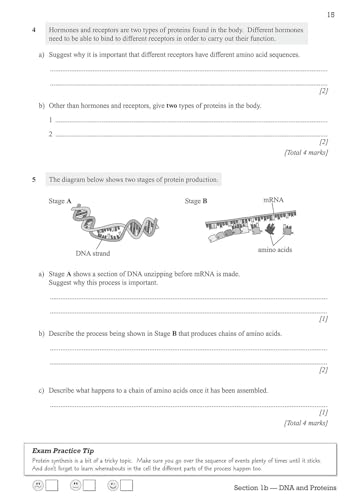 CGP Books - New National 5 Biology: SQA Exam Practice Workbook - inclu image 4